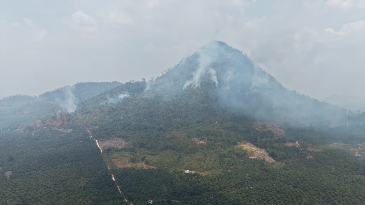 Karhutla di Bukit Noulungan Lamandau Diperkirakan Capai 10 Hektare, Api Masih Berpotensi Meluas