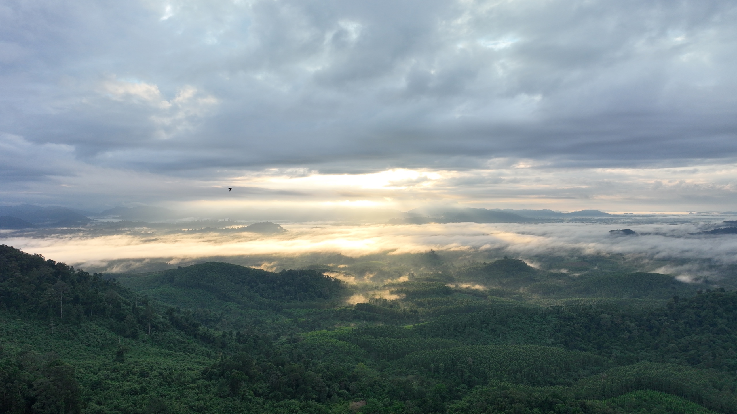 Best Service Provide